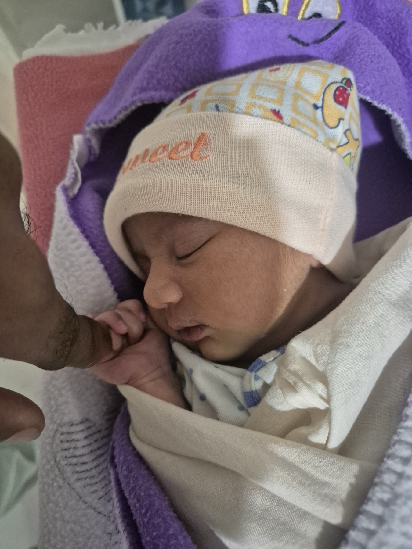 Newborn Adira holding her father's finger while wrapped in a white blanket.